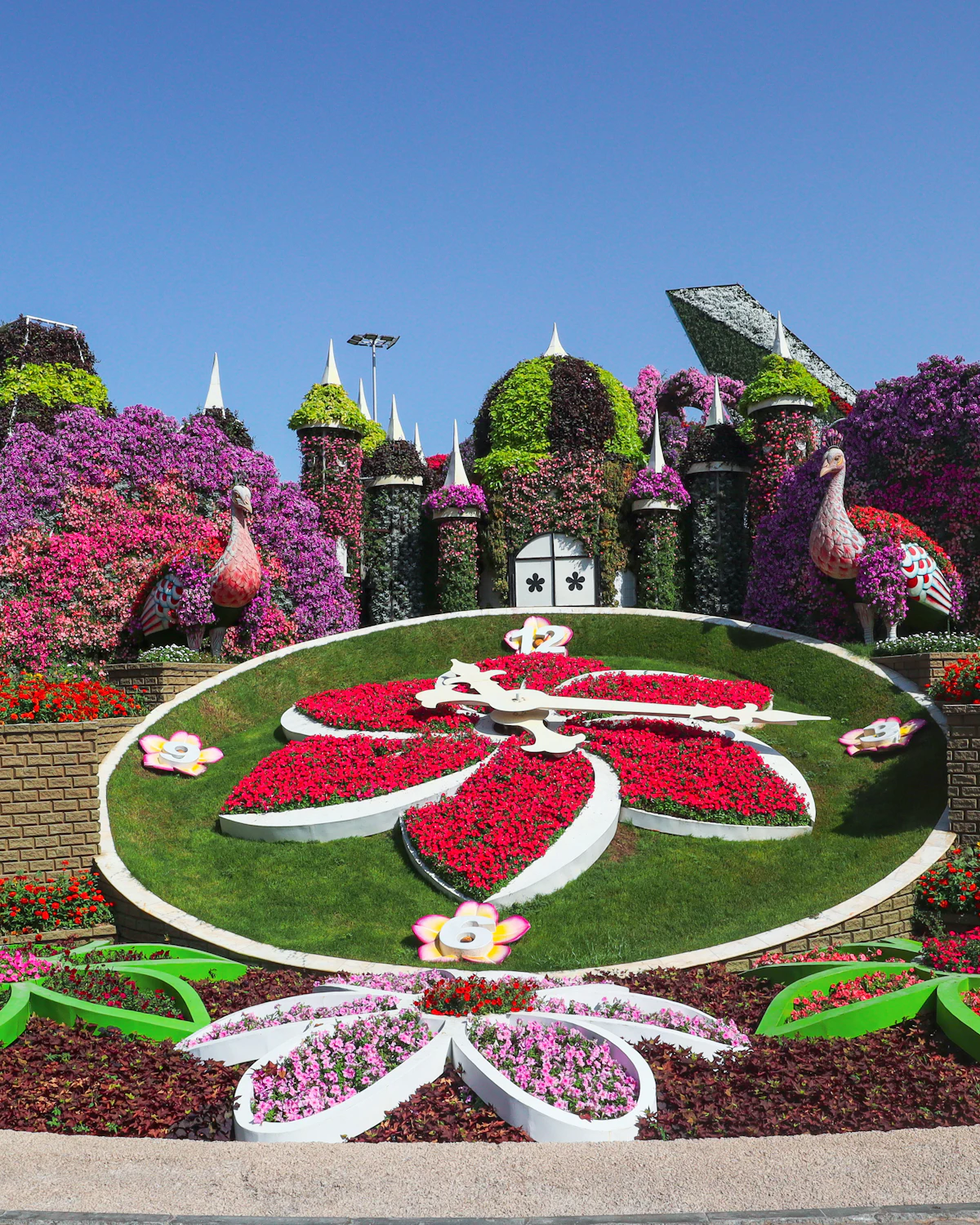 Floral clock at Dubai Miracle Garden near Arjan